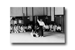 Aiki-Tiger©